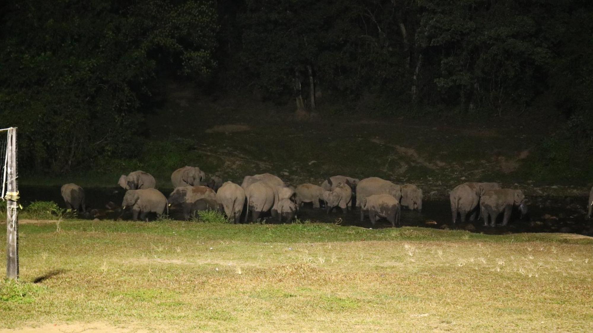 Asprin Homestay Munnar Exteriör bild