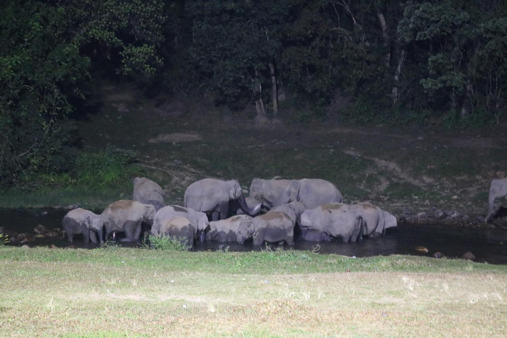 Asprin Homestay Munnar Exteriör bild